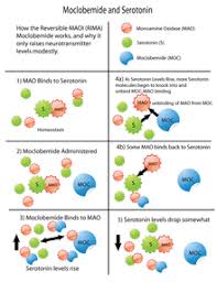 Monoamine Oxidase Inhibitor Wikipedia