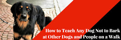 How To Teach Any Dog Not To Bark At Other Dogs And People On A Walk Dog Training Advice Tips Dog Training Barking Dog Training Obedience Training Your Dog