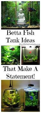 Betta Fish Tank Setup Ideas That Make A Statement Betta Fish Tank Betta Fish Care Diy Fish Tank
