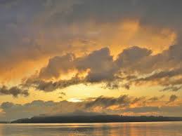 50+ University Place Washington Photos Stock Photos, Pictures &  Royalty-Free Images