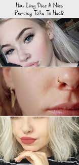 How Long Does A Nose Piercing Take To Heal Piercing Any Type Of Pier Heal Long Nasenpiercing Septum Piercings Nasen Piercing