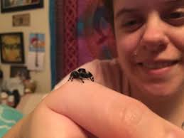 Cutler Library removed the spider webs