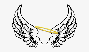 Download Small Angel Wing Halo Svg Free Transparent Png Download Pngkey