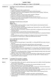 business analyst / data analyst resume