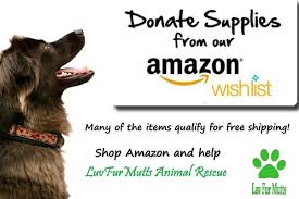 We are not a shelter and all of our dogs are currently in private foster homes. Luvfurmutts Animal Rescue Cincinnati Animal Rescue