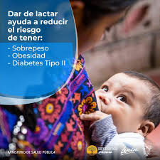 DerechoEmbarazoYLactancia |...