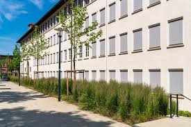 Liebe schülerinnen und schüler das erste video bietet u.a. Goethe Gymnasium Ludwigsburg Bietigheimer Gartengestaltung Gmbh