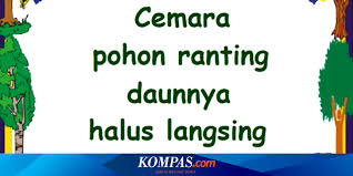 Anda tak mengetahui judul lagu, tapi mengetahui syair. Lirik Lagu Anak Cemara Ciptaan At Mahmud
