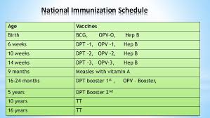 national immunisation programme