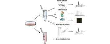 Simultaneous Extraction Of Proteins And Metabolites From Cells In Culture Sciencedirect