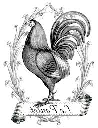 Maybe you would like to learn more about one of these? Printable Image Transfer French Chicken The Graphics Fairy Graphic Fairy French Typography Image Transfer