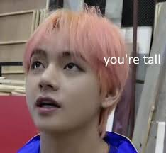 Pin By Emilie Ferslev On Bts Bts Memes Hilarious Kpop Memes Bts Bts Memes