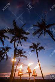 When did the tiki culture start in hollywood? Fire Coming Out Of Hawaiian Tiki Torches With Palm Trees Stock Photo Picture And Royalty Free Image Image 40080634