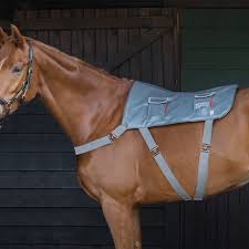 Pferd, esel und das kamel wirken ziemlich mitgenommen und erschöpft. Reitsportladen Sw Detailansicht Massage Therapie Decken Und Handschuhe Equilibrium Massage Therapie Decke Regenerationsdecke Therapy Massage Pad