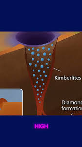 Image result for Pandanus candelabrum