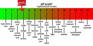 Tomato juice is a juice made from tomatoes, usually used as a beverage, either plain or in cocktails such as a bloody mary, a caesar, or michelada. If A Fruit Is Sour Does That Mean That Its Juice Is Acidic Quora