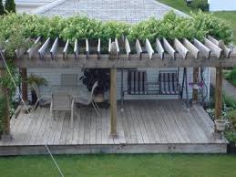 Grape Vines Growing On The Pergola Pergola Pergola Shade Pergola Patio
