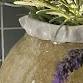Creative Clay - Hand build folded rim vase event image
