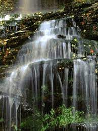Waterfalls Mobile Wallpaper Waterfall Waterfall Photo Waterfall Pictures