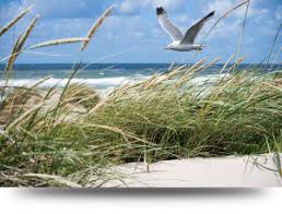 332 52 duinen zee noordzee. Tip Schilderijen Van Strand Zee En Duinen Alleschilderijen Nl