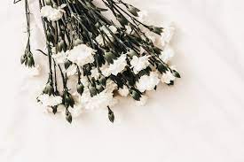 Maybe you would like to learn more about one of these? How To Buy The Right Funeral Sympathy Flowers Blogs 18f Conroy S Rancho Cucamonga