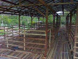 Dengan rak ini, kamu bisa meletakkan tiga tanaman sekaligus, lo. Cara Bikin Kandang Kambing Dari Bambu Ndik Home