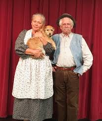 The film changed the silver shoes to ruby slippers (depending on this source, this was either to show off the new color technology of the time, because silver shoes were boring, or because silver shoes didn't show up well), merged the two good witches, cut out. Uncle Henry From Wizard Of Oz Art Collectibles Figurines Knick Knacks Senerval Eu