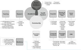 Whole life home health care. Provider Based Managed Care Organisations And Products Springerlink