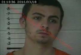 The News Journal Rockholds woman charged with running from police