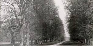 Cassiobury Park, Watford - Heritage Walk in June