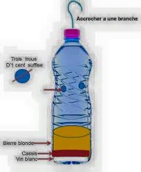 Enfoncez le goulot dans le corps de la bouteille. Perpignan Infos Frelon Asiatique C Est Maintenant Serait Il Possible De Communiquer Ce Message A L Ensemble De Vos Amis Et Reseaux De Connaissances Aucune Region Ne Sera Epargnee Meme Au Nord