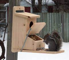 Squirrel Feeder Plans Squirrel Feeder Diy Squirrel Feeder Squirrel Feeders