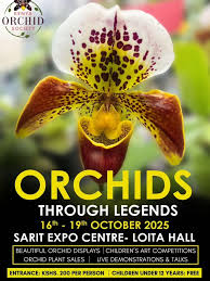 Image result for Disperis dicerochila