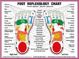 Vibrational Energy Medicine Energy Pathways