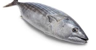 Alhamdulillah, terima kasih buat bapak atas info yang sangat bermanfaat buat kami. Ini 5 Manfaat Ikan Tongkol Untuk Ibu Hamil Popmama Com