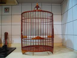 Tutorial#cara membuat sangkar burung pleci/burung kecilподробнее. Indahnya Sangkar Pleci Kelas Dunia Pasar Burung Online Jogja Jateng