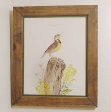 Don Whitlatch signed print Eastern Meadowlark framed large