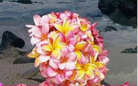 The hawaiian bouquets are modern and appropriate for your maui wedding. 16 Best Tropical Flowers In Hawaii For Bouquets Ideas In 2021 Tropical Flowers Tropical Flowers