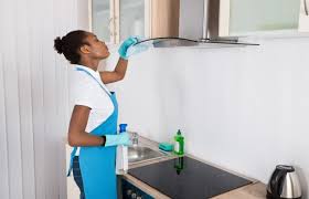 Toutefois, le nettoyage du filtre à charbon doit se faire tous les mois. Comment Nettoyer Sa Hotte De Cuisine Interservices