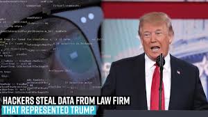 Netizens are outraged over the video and expressed their displeasure towards her action. Alesya Kafelnikova Russian Instagram Influencer Slammed By Animal Group For Posing Naked On Elephant