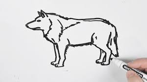 How To Draw Wolf Easy Drawing On A Whiteboard Wolf Drawing Easy Drawings Drawings