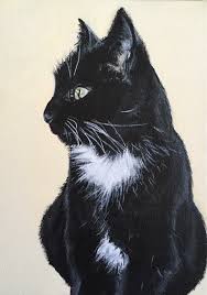 Black And White Acrylic Painting Portrait Acrylic Paint Pet Portrait On Canvas Black And White Cat Liqourice Www Facebook Com Abibartlett Petpo Cat Illustration Cat Painting Black And White Painting