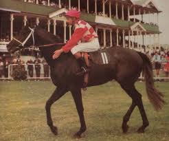 Silver Knight Winner Of Melbourne Cup Was Black As A Younger Horse But Became Grey As An Older Stallion By Alcimed Horses Melbourne Cup Winners Horse Racing
