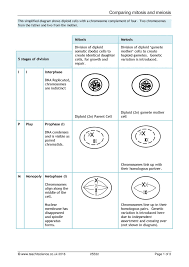 Cell division and mitosis worksheet. Ks4 Reproduction Teachit Science