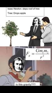 Dank Combination Slaps Roof Of Car Memes Stupid Memes Funny Memes