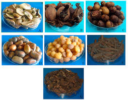 Image result for Afrostyrax lepidophyllus