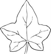 Ivy Leaf Shape Leaf Coloring Page Fall Leaves Coloring Pages Leaf Template