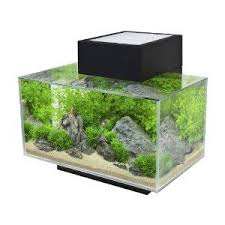 Fluval Edge 6 Gallon Aquarium With 21 Led Light Black Nano Aquarium Aquarium Fish Tank