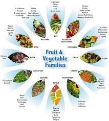 Fruit Vegetable Families Gezond Recepten Natuurlijke Tuin