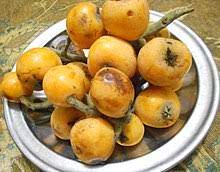 Check spelling or type a new query. Loquat Wikipedia